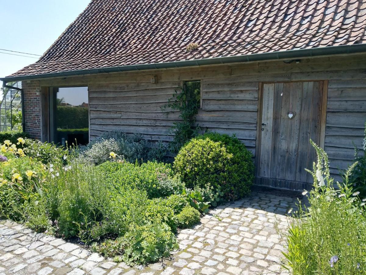 B&B De Hulst Izegem Εξωτερικό φωτογραφία