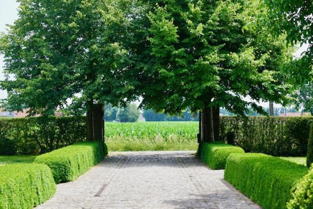 B&B De Hulst Izegem Εξωτερικό φωτογραφία