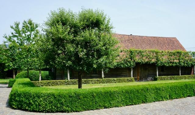 B&B De Hulst Izegem Εξωτερικό φωτογραφία